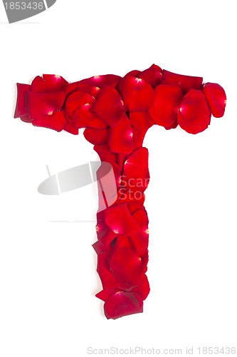 Image of Letter T made from red petals rose on white