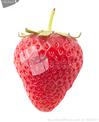 Image of Strawberrie 