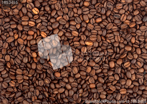 Image of Background of coffee bean
