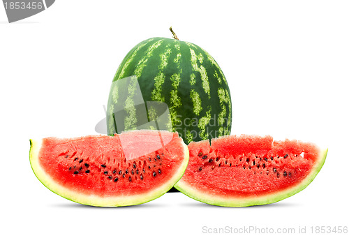 Image of Watermelon