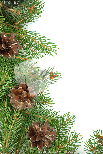 Image of Christmas framework