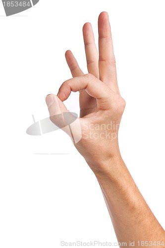 Image of Hand  is showing OK sign isolated on white