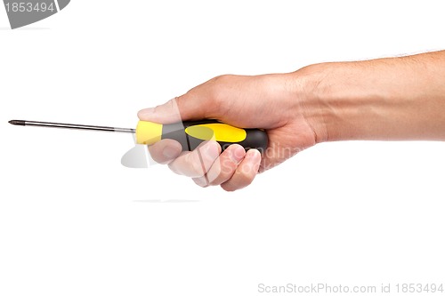 Image of Hand holding a yellow and black screwdriver