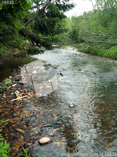 Image of wild river