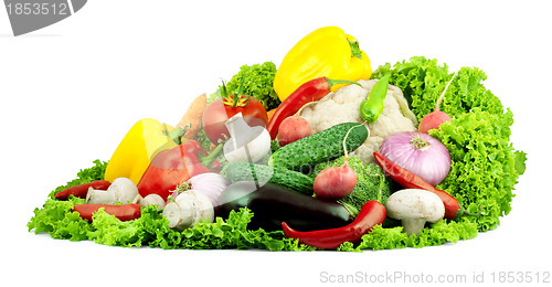 Image of Vegetables