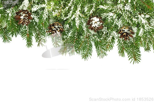 Image of Christmas framework with snow and cones