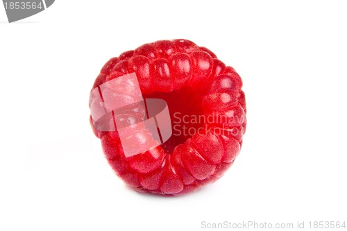 Image of Single fresh raspberry, isolated on  white. Close up macro shot