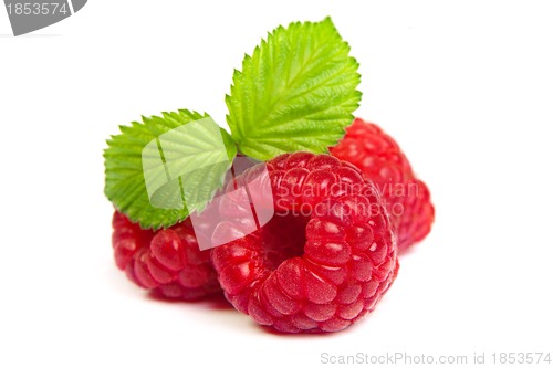 Image of Ripe rasberry with green leaf isolated over white. Close up macr