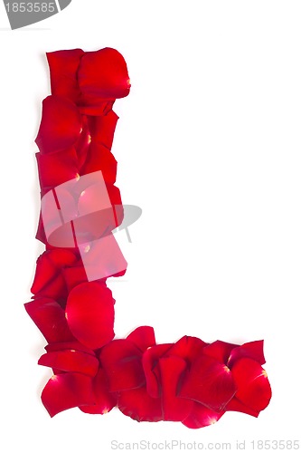 Image of Letter L made from red petals rose on white