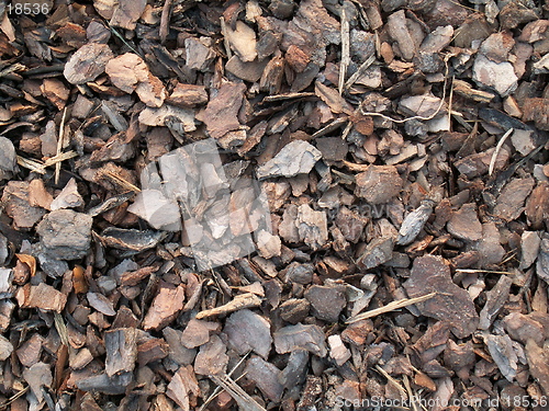 Image of texture