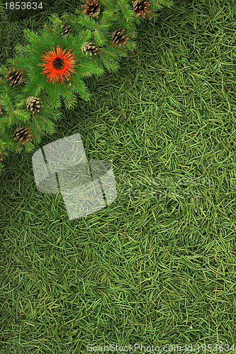 Image of Christmas framework