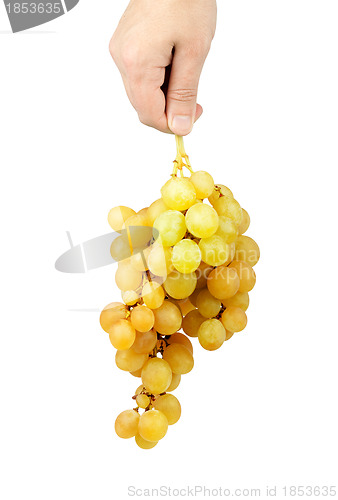 Image of Bunch of fresh grapes