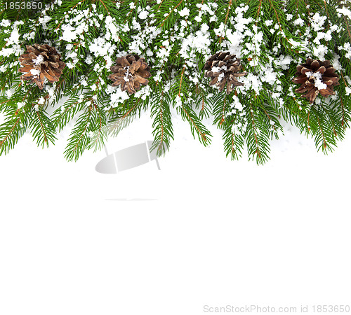 Image of Christmas framework with snow and cones