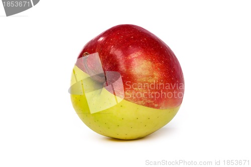 Image of An apple made from half green and half red