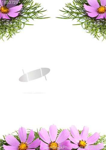 Image of Flowers