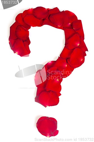 Image of Question sign  made from red petals rose on white