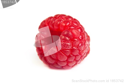 Image of Single fresh raspberry, isolated on  white. Close up macro shot