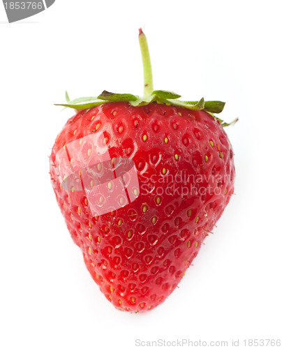 Image of Strawberrie 