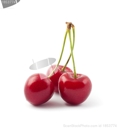 Image of Red cherries