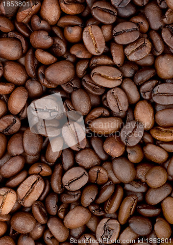 Image of Brown roasted coffee beans