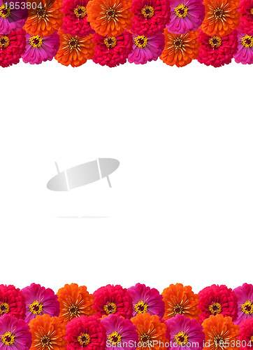 Image of Petals