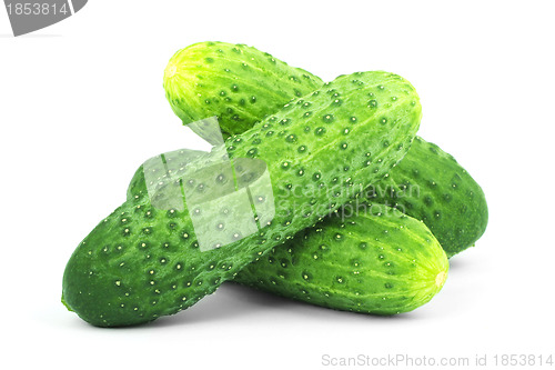 Image of Cucumbers