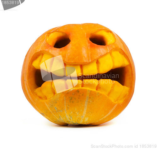 Image of Halloween pumpkin