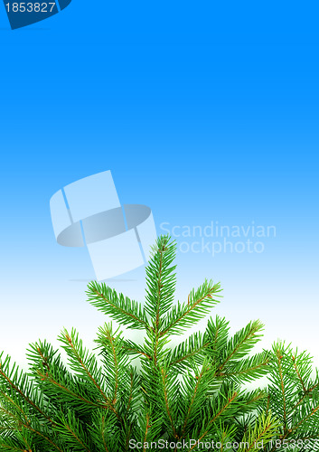 Image of Christmas framework