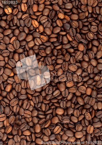 Image of Background of coffee bean
