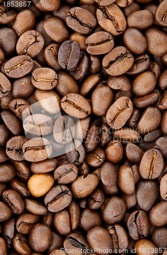 Image of Background of coffee bean
