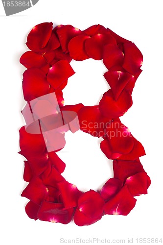 Image of Letter B made from red petals rose on white