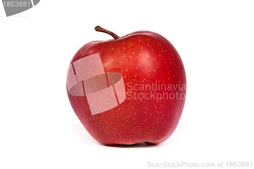 Image of A shiny red apple isolated on white