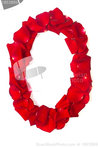 Image of Letter O made from red petals rose on white