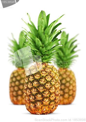 Image of Ripe pineapple