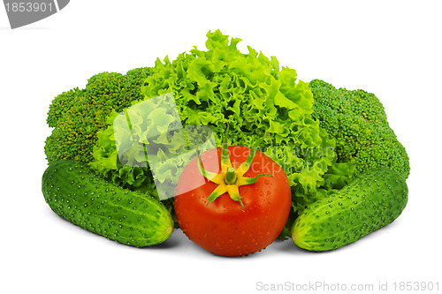 Image of Low-calorie raw vegetables