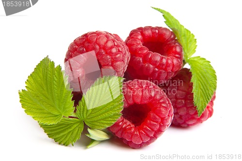 Image of Bunch of a red raspberry on a white background. Close up macro s