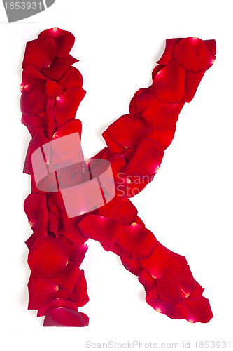 Image of Letter K made from red petals rose on white