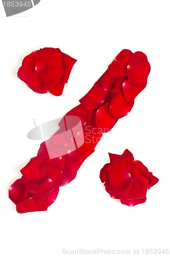 Image of Percent symbol, made from red petals rose isolated on a white ba