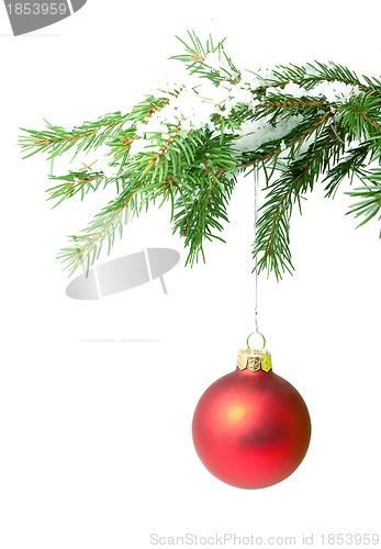 Image of Branch with a Christmas toy