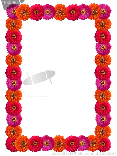 Image of Petals