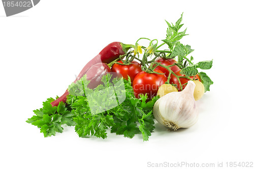 Image of peppers, tomatoes, garlic, parsley