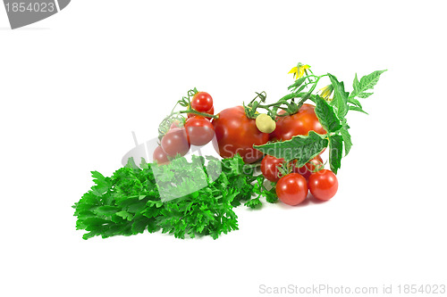 Image of tomatoes, parsley
