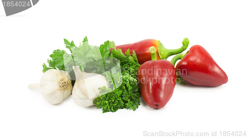 Image of peppers, tomatoes, garlic, parsley