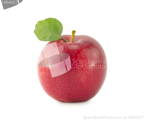 Image of apple