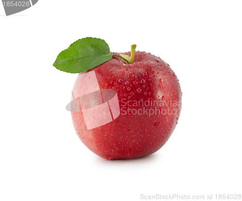 Image of apple