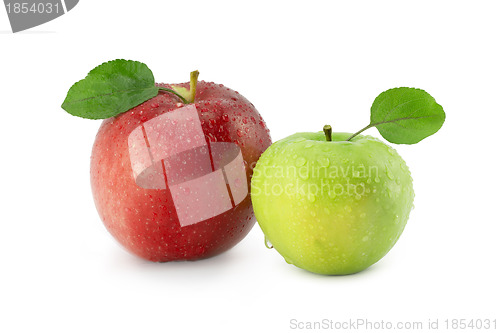 Image of Two apples