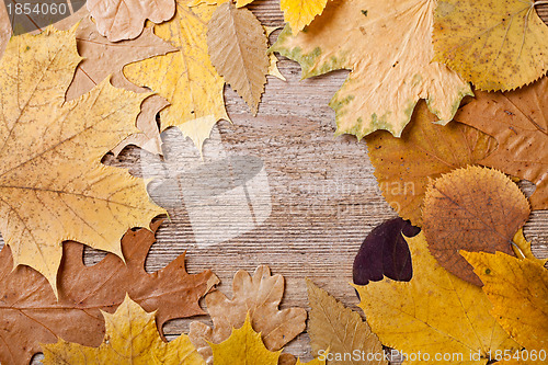 Image of autumn leaves over wooden background 