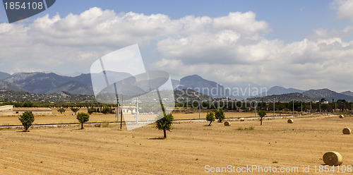 Image of Landscape in Mallorca