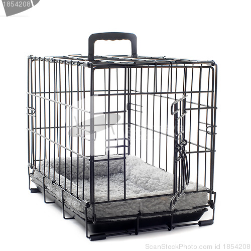 Image of pet carrier with cushion