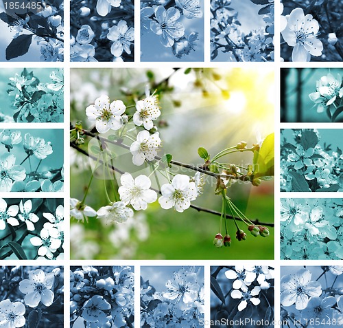 Image of Spring collage